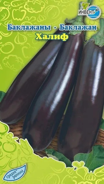 Баклажан «Халиф» | Инвент+