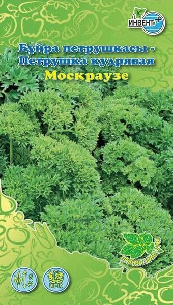 Петрушка кудрявая «Москраузе» | Инвент+