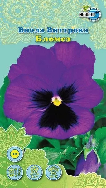 Виола виттрока «Бломез» | Инвент+