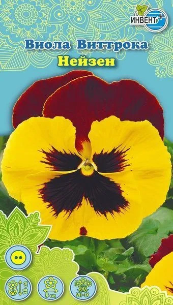 Виола виттрока «Нейзен» | Инвент+