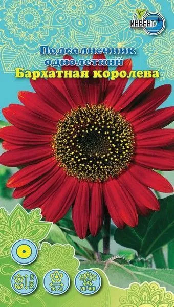 Подсолнечник «Бархатная Королева» | Инвент+
