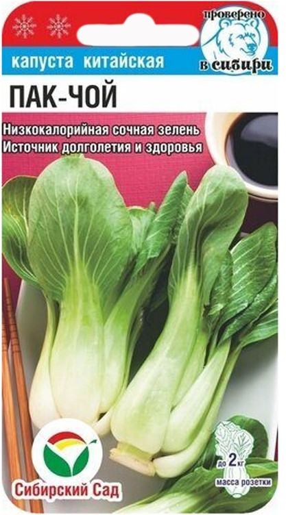 Капуста китайская «Пакчой» | Сибирский Сад