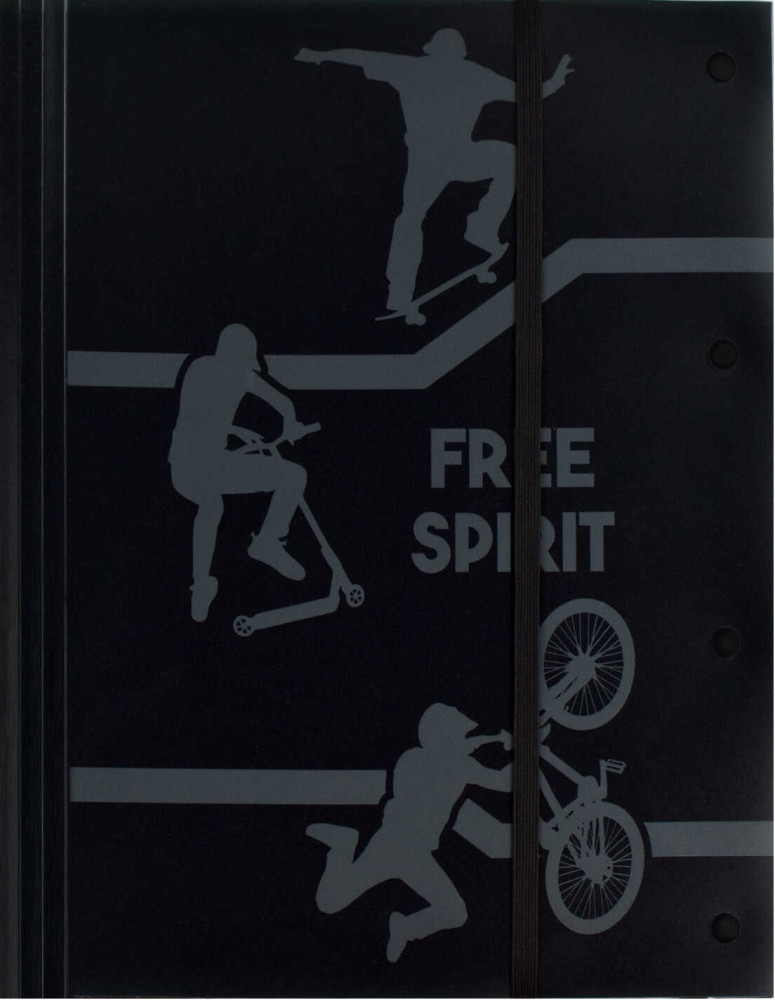 Папка для чертежей и рисунков | Фри спирит | Феникс +