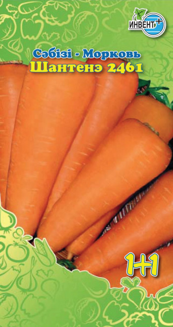 Морковь «Шантенэ 2461» | Инвент+
