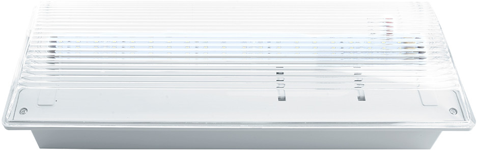 Светильник аварийный Feron EM100 | Feron