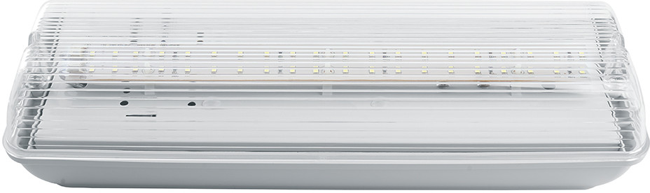 Светильник аварийный Feron EM101 | Feron