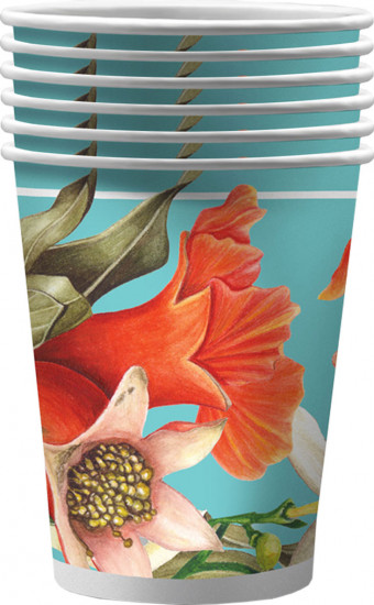 Набор бумажных стаканов