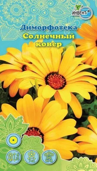 Диморфотека «Солнечный ковёр» | Инвент+