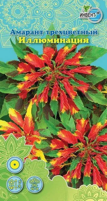 Амарант трехцветный «Иллюминация» | Инвент+