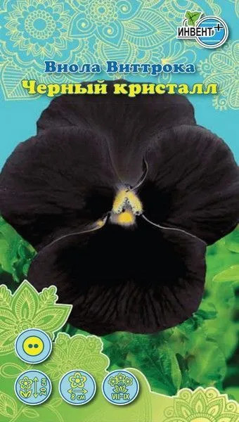 Виола виттрока «Черный Кристалл» | Инвент+