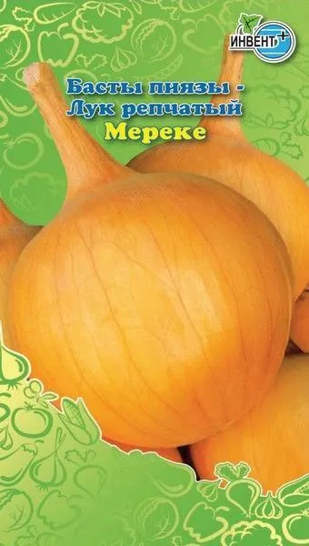 Лук репчатый «Мереке» | Инвент+