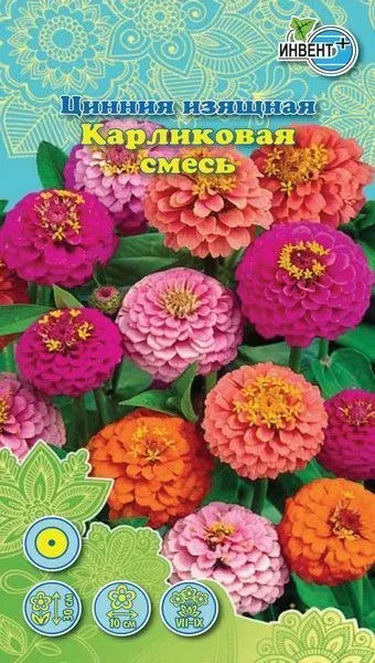 Цинния «Карликовая смесь» | Инвент+