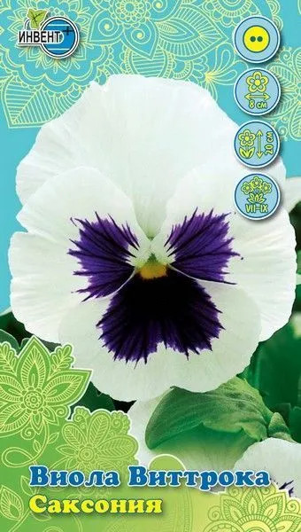 Виола виттрока «Саксония» | Инвент+