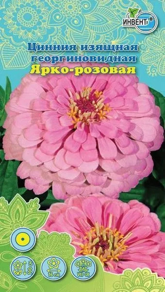 Цинния изящная георгиновидная «Ярко-розовая» | Инвент+