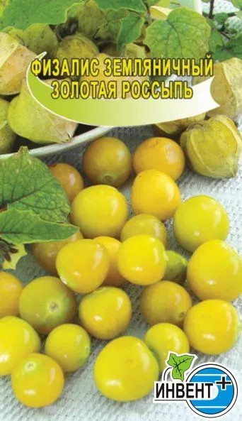 Физалис земляничный «Золотая россыпь» | Инвент+