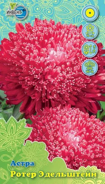 Астра «Ротер Эдельштейн» | Инвент+