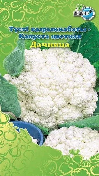 Капуста цветная «Дачница» | Инвент+