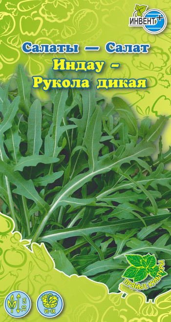 Салат «Индау — Рукола дикая» | Инвент+