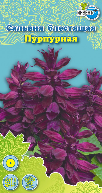 Сальвия блестящая «Пурпурная» | Инвент+
