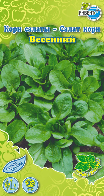 Салат корн «Весенний» | Инвент+