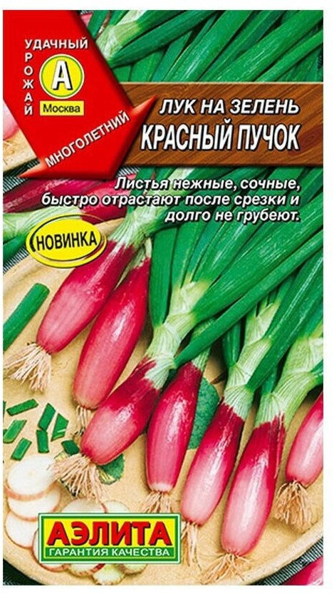 Лук на зелень «Красный пучок» | Аэлита