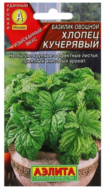 Базилик овощной «Хлопец кучерявый» | Аэлита