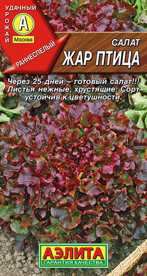 Салат листовой «Жар птица» | Аэлита