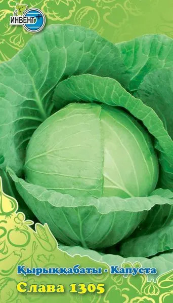 Капуста «Слава 1305» | Инвент+