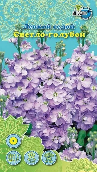 Левкой седой «Светло голубой» | Инвент+