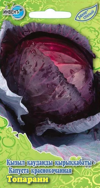 Капуста краснокочанная «Топарани» | Инвент+