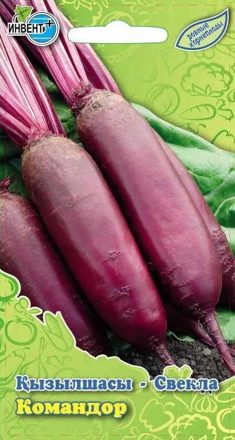 Свекла «Командор» | Инвент+