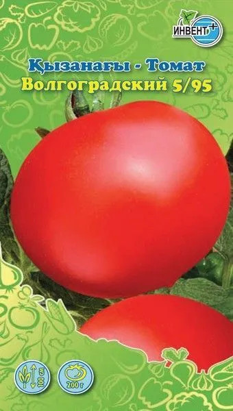 Томат «Волгоградский 5/95» | Инвент+