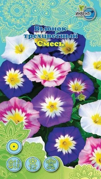 Вьюнок трехцветный Смесь | Инвент+