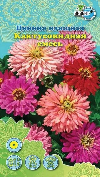 Цинния изящная «Кактусовидная смесь» | Инвент+
