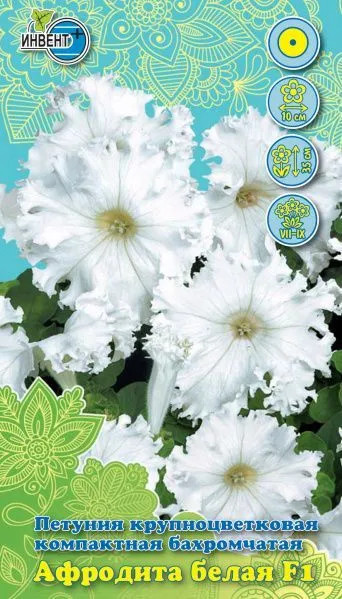 Петуния «Афродита белая F1» | Инвент+