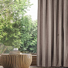 зебра-капучино