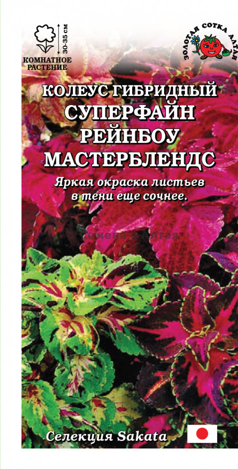 Колеус «Суперфайн Рейнбоу Мастерблендс» | Уральский дачник