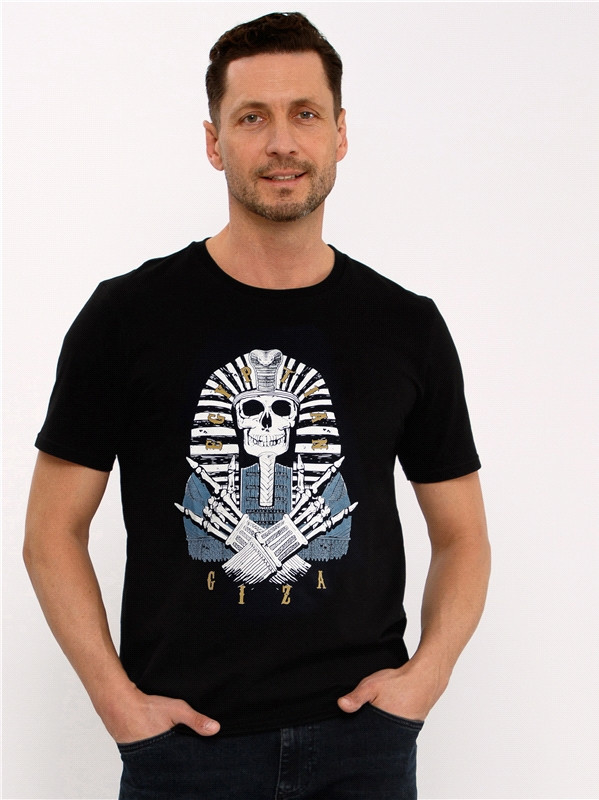 Футболка мужская | Престиж | Апрель