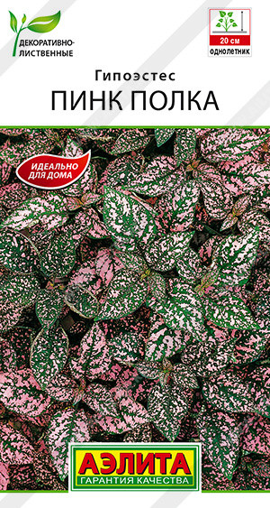 Гипоэстес «Пинк Полка» | Однолетние цветы (Аэлита) | Аэлита