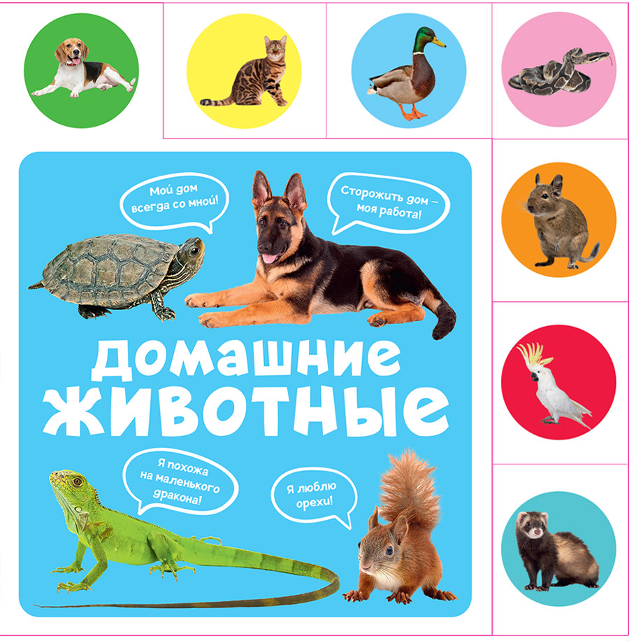 Вырубка «Домашние животные»