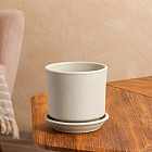 крошка бежевая