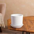 крошка белая