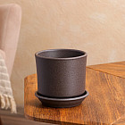 крошка серая