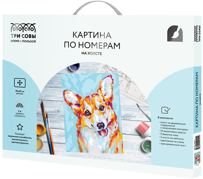 Картина по номерам «Корги» | Три совы