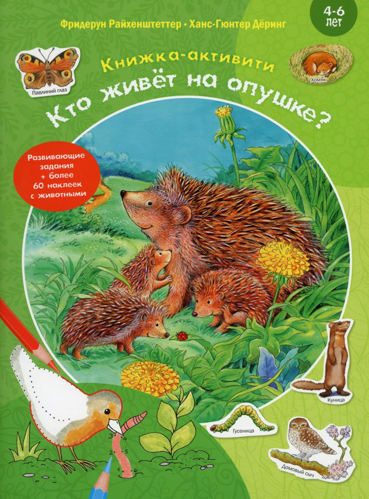 Кто живёт на опушке? Книжка-активити с развивающими заданиями, головоломками, наклейками