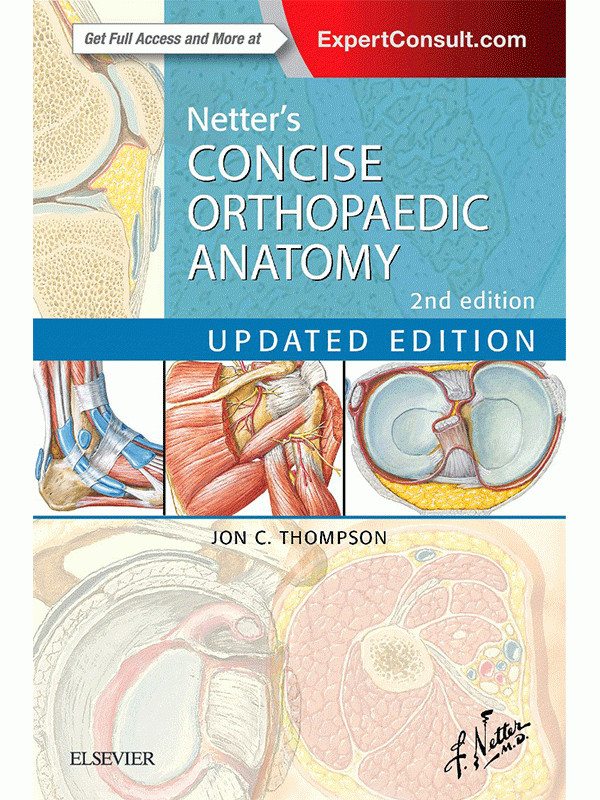 Netter's Concise Orthopaedic Anatomy