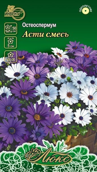 Остеоспермум «Асти смесь» | Инвент+