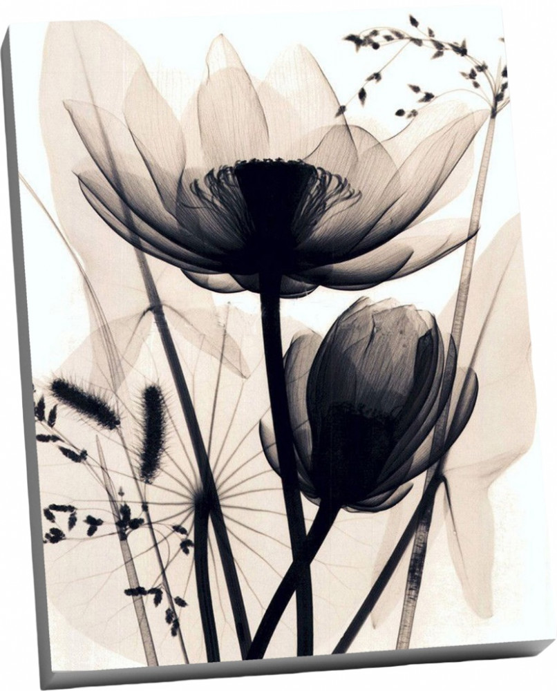 Картина по номерам «Монохромные цветы» | Molly