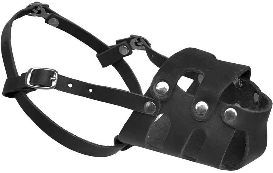 Намордник кожаный «Сид» | Tappi