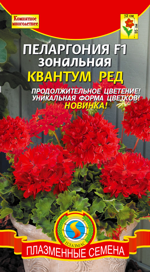 Пеларгония зональная «Квантум ред» | Плазмас